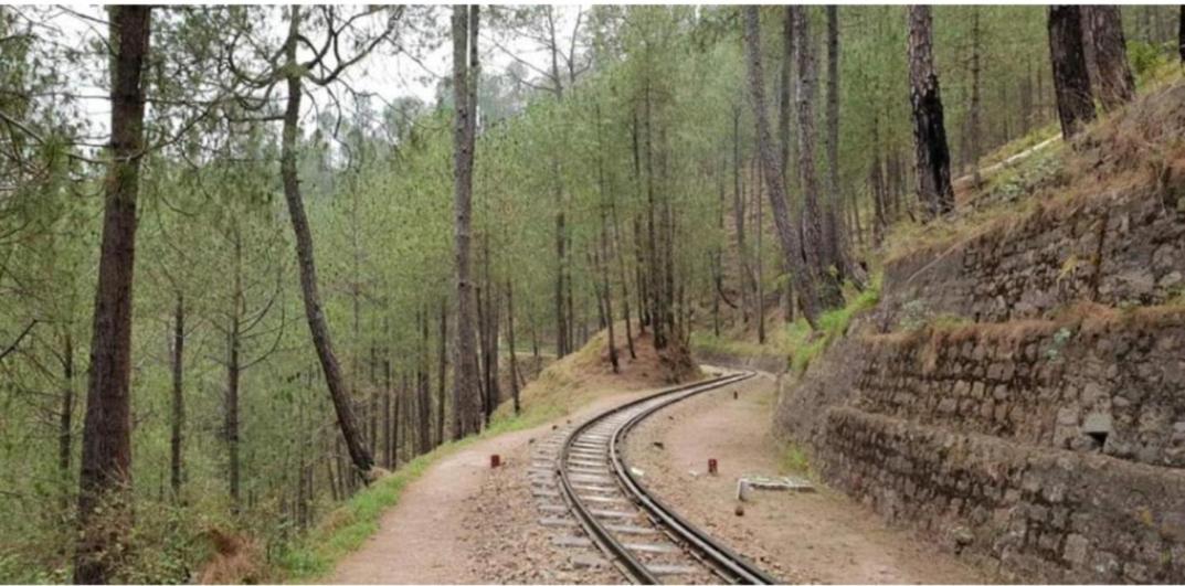 Mountain Mist Inn I Serviced Apt I Open Air Lawn & Rooftop I Bonfire I By Exotic Stays Kasauli Eksteriør billede